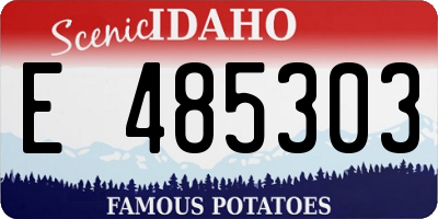 ID license plate E485303