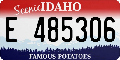 ID license plate E485306