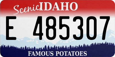 ID license plate E485307