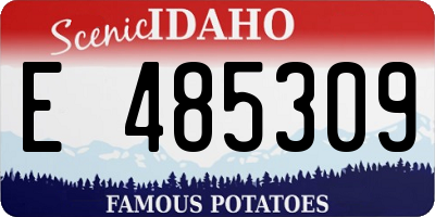 ID license plate E485309