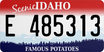 ID license plate E485313
