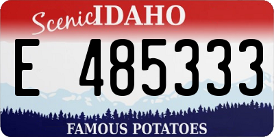 ID license plate E485333