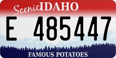 ID license plate E485447