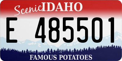 ID license plate E485501