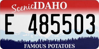 ID license plate E485503