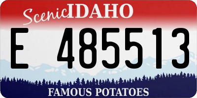 ID license plate E485513
