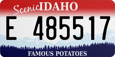 ID license plate E485517