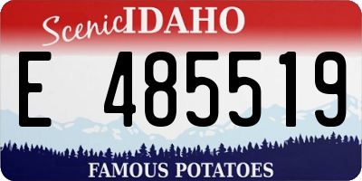 ID license plate E485519