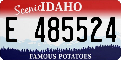 ID license plate E485524