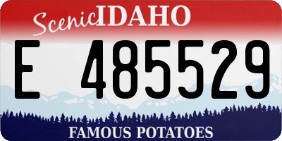 ID license plate E485529