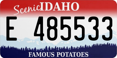 ID license plate E485533
