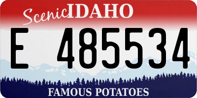 ID license plate E485534
