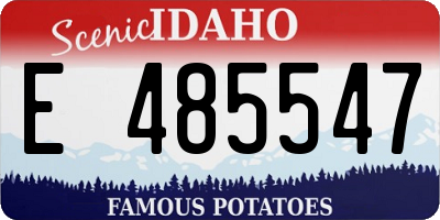 ID license plate E485547