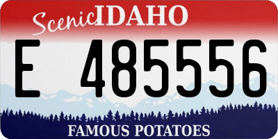 ID license plate E485556