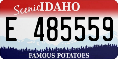ID license plate E485559