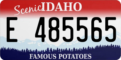 ID license plate E485565