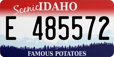 ID license plate E485572