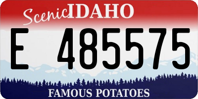 ID license plate E485575