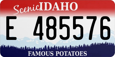 ID license plate E485576