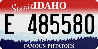ID license plate E485580