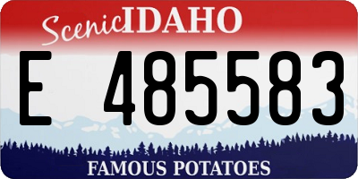 ID license plate E485583