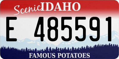ID license plate E485591