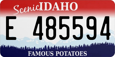 ID license plate E485594