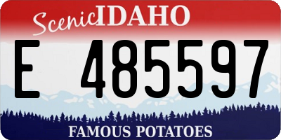 ID license plate E485597