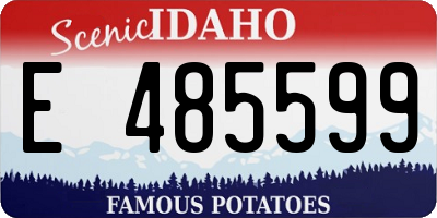 ID license plate E485599