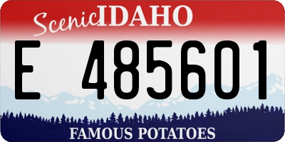 ID license plate E485601