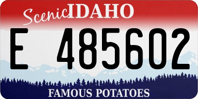 ID license plate E485602