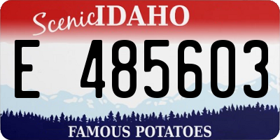 ID license plate E485603