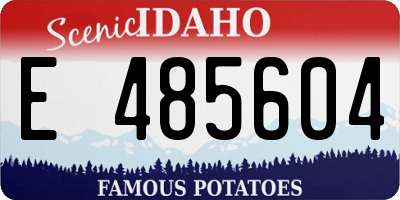 ID license plate E485604