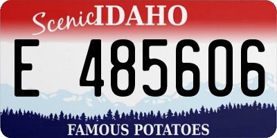ID license plate E485606
