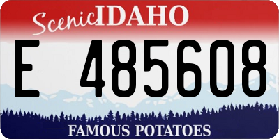 ID license plate E485608