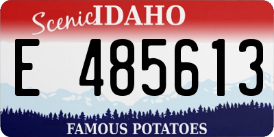 ID license plate E485613