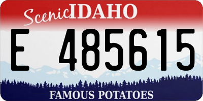 ID license plate E485615