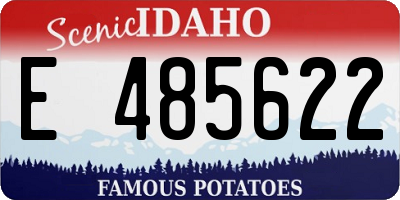 ID license plate E485622