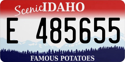 ID license plate E485655