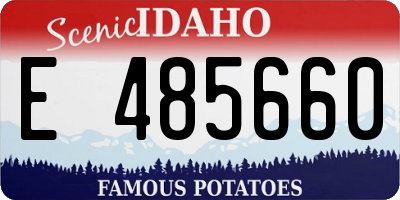 ID license plate E485660