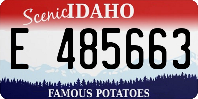 ID license plate E485663