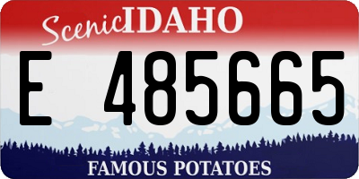 ID license plate E485665
