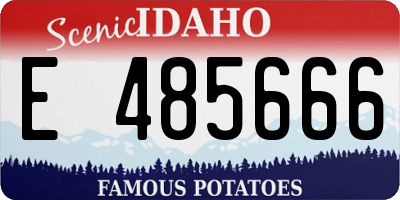ID license plate E485666