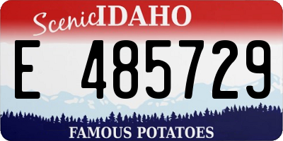 ID license plate E485729