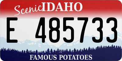 ID license plate E485733