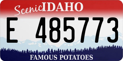 ID license plate E485773