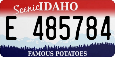 ID license plate E485784