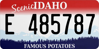 ID license plate E485787