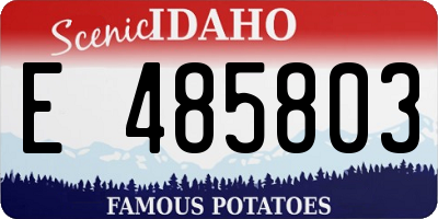 ID license plate E485803