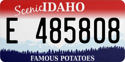ID license plate E485808